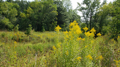 Park «Kargel Park», reviews and photos, 9301 Tamarack Rd, Woodbury, MN 55125, USA