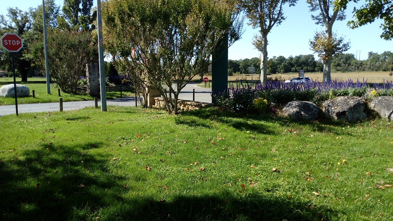 Photo n° 41 de l'avis de Delbart.e fait le 29/09/2019 à 12:17