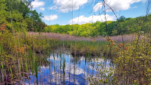 Nature Preserve «Cranberry Lake Preserve», reviews and photos, 1609 Old Orchard St, West Harrison, NY 10604, USA