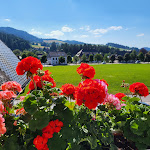 Photo n°10 de l'avis de Roman.i fait le 20/07/2022 à 13:00 sur le  Hotel Reppert à Hinterzarten