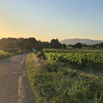 Photo n° 5 de l'avis de Paul.a fait le 20/07/2023 à 15:28 pour Domaine Des Écureuils à Carpentras