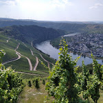 Photo n°1 de l'avis de Ingo.e fait le 09/08/2020 à 20:53 sur le  Moselpanorama à Piesport