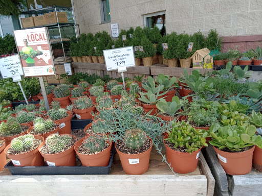 Shopping Mall «Preston Forest Shopping Center», reviews and photos, Preston Rd & Forest Lane, Dallas, TX 75230, USA