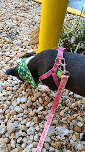 Pet Supply Store «Croton Pet Station», reviews and photos, 420 S Riverside Ave, Croton-On-Hudson, NY 10520, USA