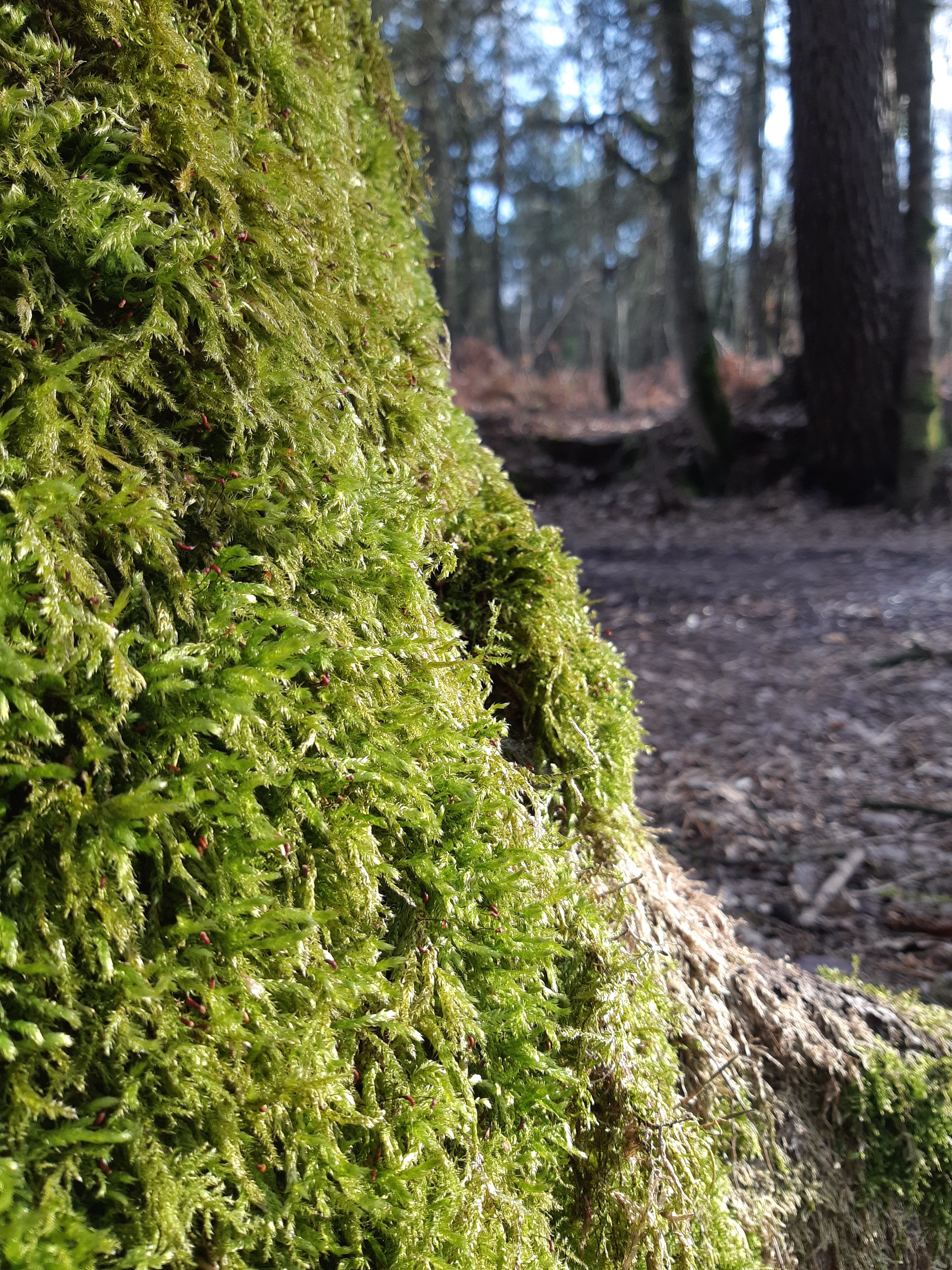 Photo n° 27 de l'avis de Jean-Paul.o fait le 10/03/2019 à 18:01