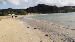 Photo de Te Ngaere Bay protégé par des falaises