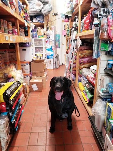 Pet Supply Store «Animal Fare», reviews and photos, 153 Prospect Park Southwest, Brooklyn, NY 11218, USA