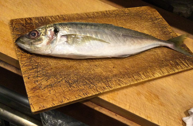 近江町市場海鮮丼 魚旨