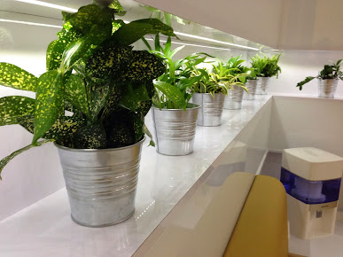 The Hypnosis Clinic - The Hypnosis Clinic