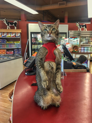 Pet Supply Store «All The Best Pet Care», reviews and photos, 1909 NW Market St, Seattle, WA 98107, USA
