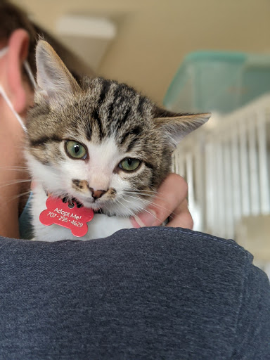 Thrift Store «Companion Animal Foundation», reviews and photos, 88 Sunnybrae Center, Arcata, CA 95521, USA