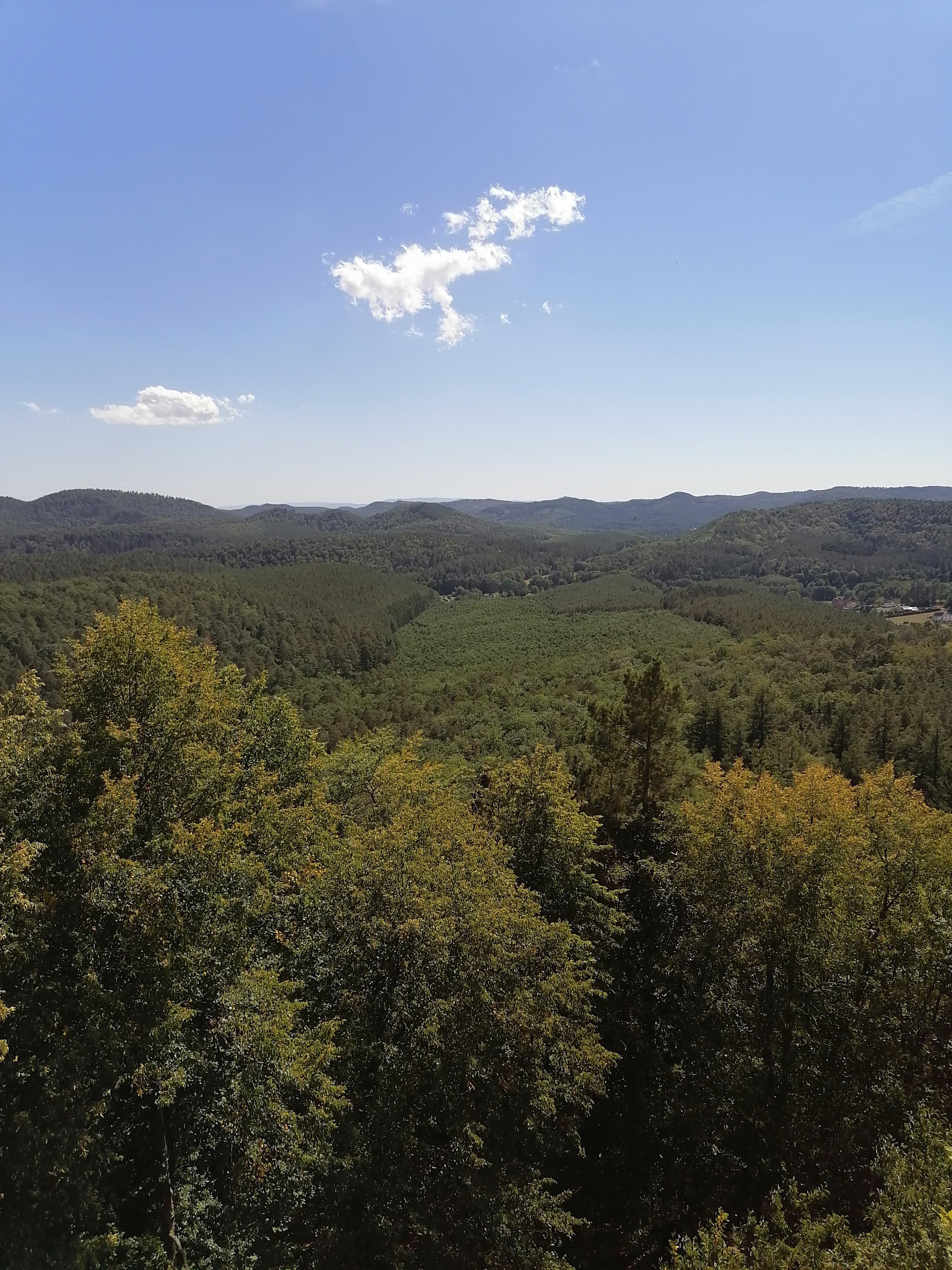 Photo n° 5 de l'avis de Noa.e fait le 27/07/2020 à 14:19