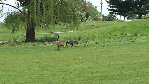 Golf Course «Delcastle Golf Club», reviews and photos, 801 McKennans Church Road, Wilmington, DE 19808, USA