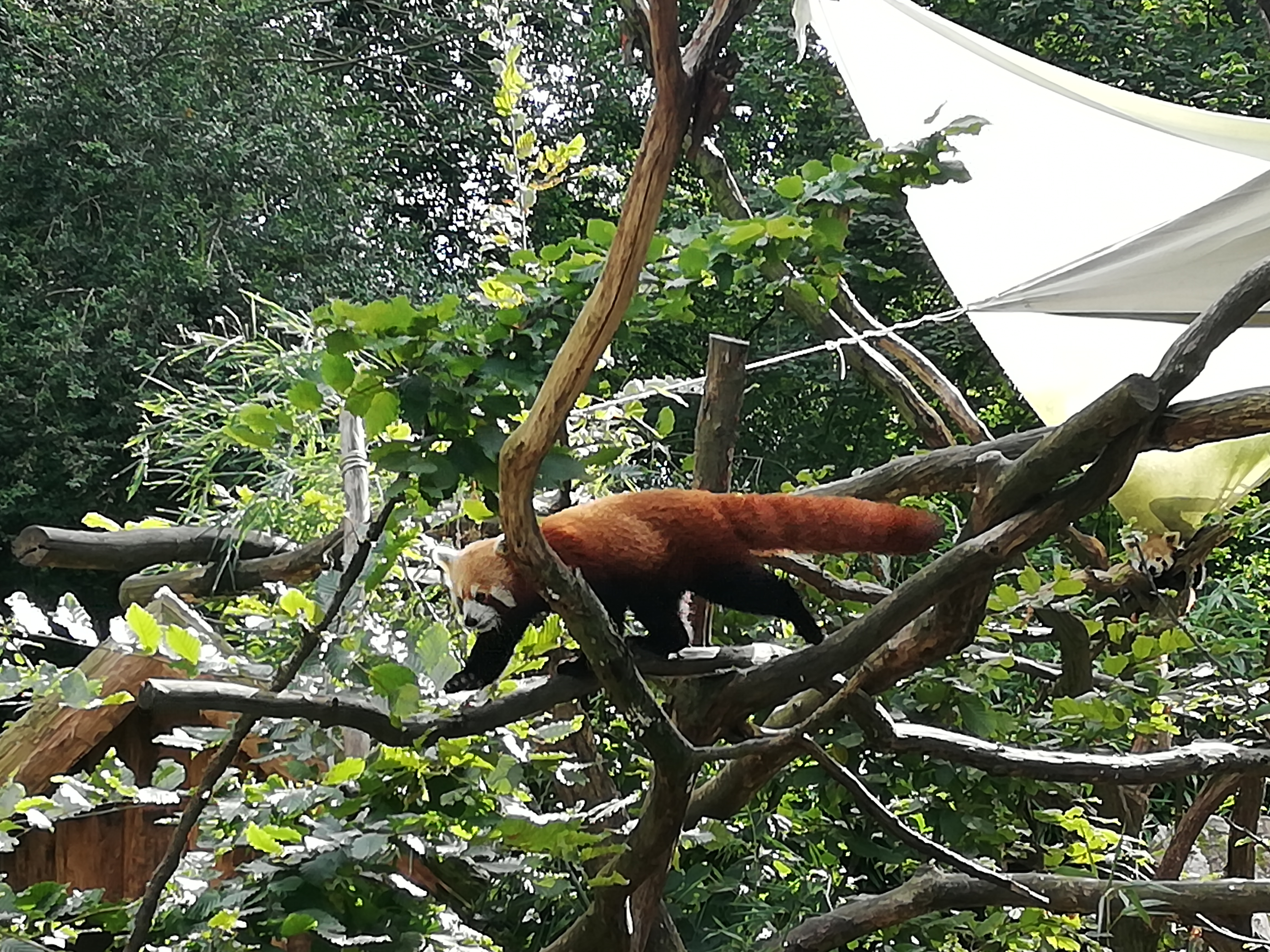 Photo n° 15 de l'avis de Jérôme.r fait le 09/10/2021 à 23:59