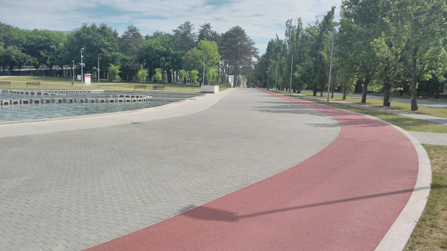 Running Track - Debrecen