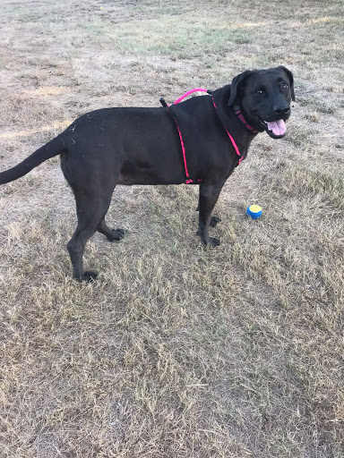 Park «Brown Singleton Park», reviews and photos, Farley St, Waxahachie, TX 75165, USA