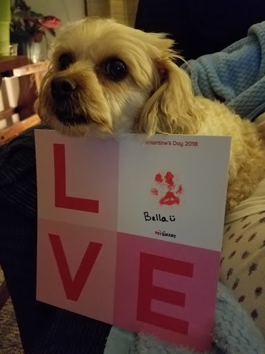 Pet Supply Store «PetSmart», reviews and photos, 1460 Koester Rd, Forsyth, IL 62535, USA