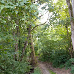 Photo n°2 de l'avis de Markus.e fait le 19/09/2021 à 18:00 sur le  Familotel Ottonenhof à Diemelsee
