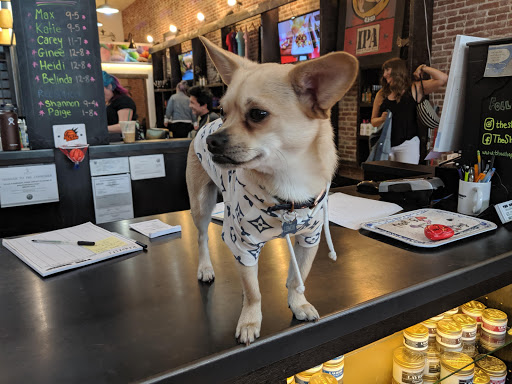 Hair Salon «The Shop - Cuts for Men & Women», reviews and photos, 139 Kentucky St, Petaluma, CA 94952, USA