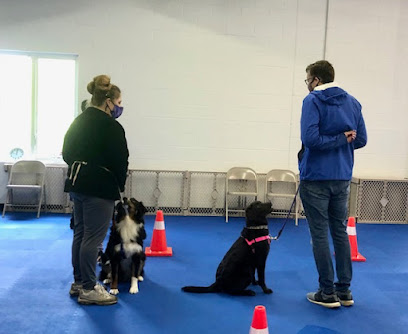 Polite Pooches Positive Dog Training