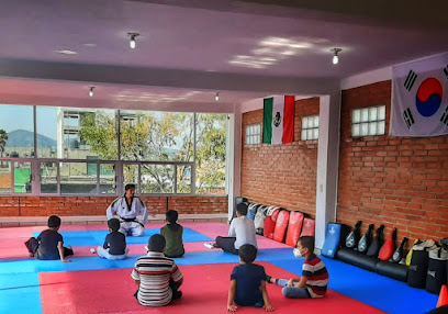 Instituto Jujak Taekwondo, Artes marciales en Apiz - calle 2 de abril #603 tercer piso, Centro, 90300 Apizaco, Tlax., Mexico