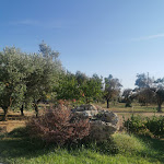 Photo n°12 de l'avis de Michela.a fait le 15/08/2020 à 13:27 sur le  Tenuta Pigliano Hotel à Bagnolo del Salento