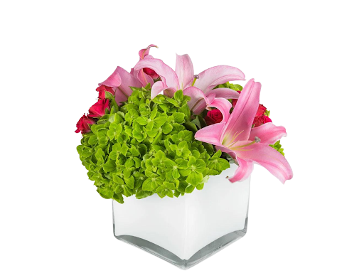 Florist «Rutland Beard Florist», reviews and photos, 5639 Baltimore National Pike, Catonsville, MD 21228, USA