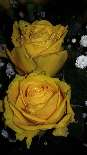 Place of Worship «The Grotto», reviews and photos, 8840 NE Skidmore St, Portland, OR 97220, USA