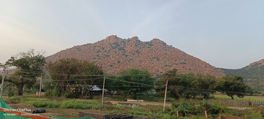 Rayadurgam Fort