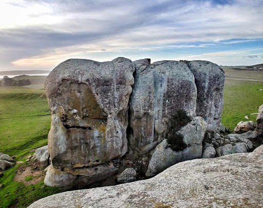 Nature Preserve «Elephant Rock», reviews and photos, 2997-3261 Dillon Beach Rd, Tomales, CA 94971, USA