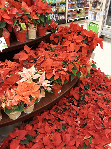 Albertsons image