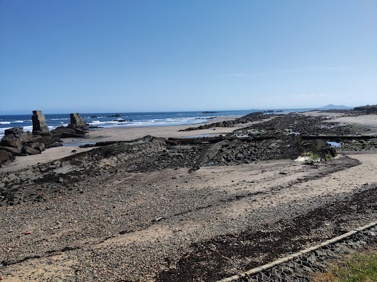 Seafield Beach