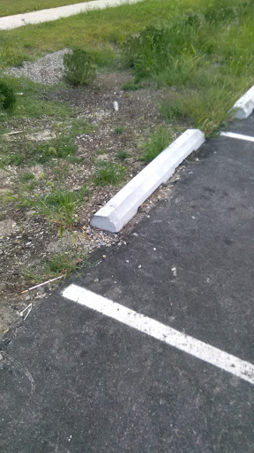 Dollar Store «FAMILY DOLLAR», reviews and photos, 14 East St, Marydel, DE 19964, USA