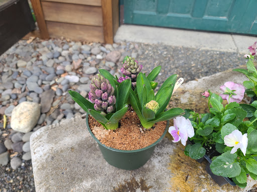 Garden Center «Victoria Gardens», reviews and photos, 1 Cottekill Rd, Rosendale, NY 12472, USA