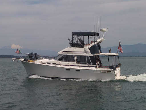 Yacht Club «Everett Yacht Club», reviews and photos, 404 14th St, Everett, WA 98201, USA