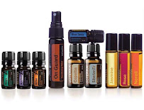 Sage Health & Wellness - Photo 5 - Car repair in Brighton, MI, South Lyon