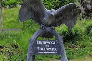 Greifvogel- und Eulenpark Triberg image