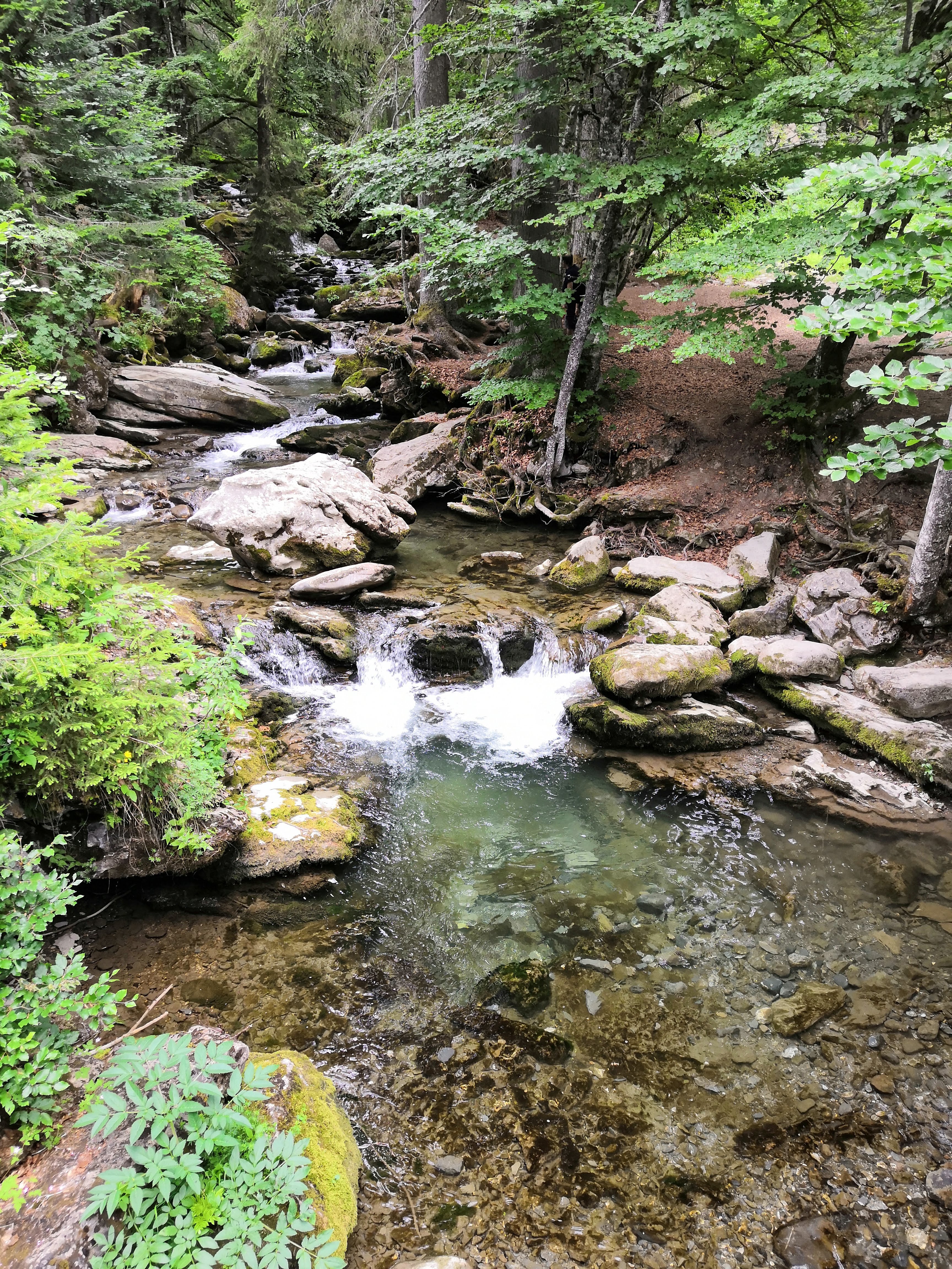 Photo n° 6 de l'avis de Régis.a fait le 21/08/2019 à 21:18