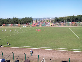 Estadio Municipal de Coronel Federico Schwager