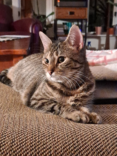 Animal Resource Center