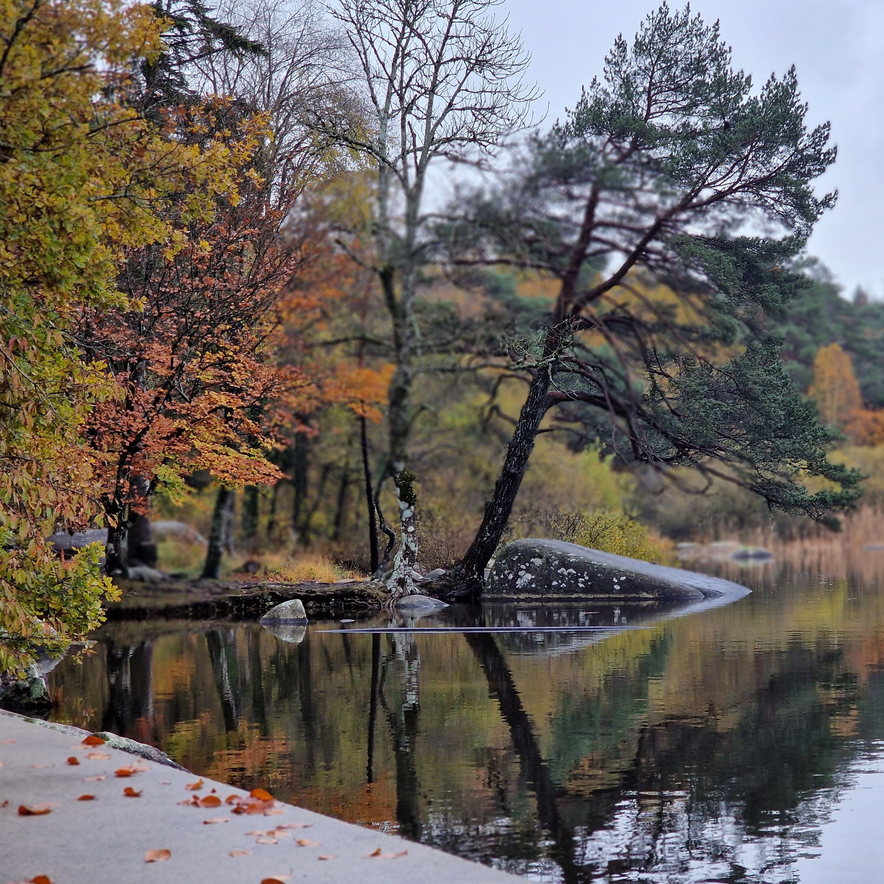 Photo n° 2 de l'avis de Laurence.a fait le 11/12/2022 à 00:44