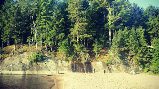 4022 N Wilson Dr, Shorewood, WI 53211, USA