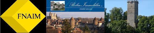Agence immobilière Agence Robin Sarl Semur-en-Auxois
