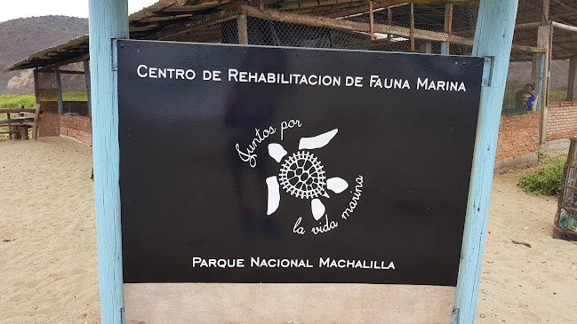 Centro De Rehabilitacion De Tortugas - Veterinario