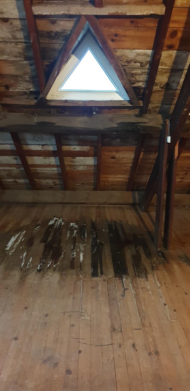 Photo n° 1 de l'avis de Frédéric.U fait le 28/02/2020 à 09:03