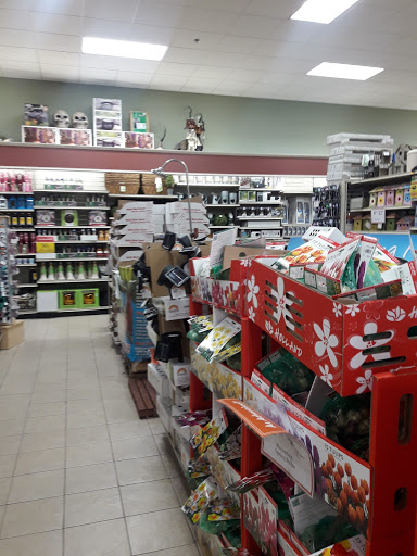 Home Goods Store «Christmas Tree Shops», reviews and photos, 2935 Concord Rd, York, PA 17402, USA