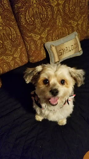 Pet Supply Store «Petsense Corinth», reviews and photos, 1663 Virginia Ln, Corinth, MS 38834, USA