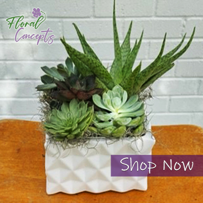 Florist «Floral Concepts», reviews and photos, 11261 Richmond Ave G109, Houston, TX 77082, USA