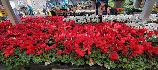 Electronics Store «Best Buy», reviews and photos, 13711 W Bell Rd, Surprise, AZ 85374, USA