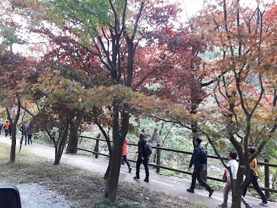 Photos of 내장야영장